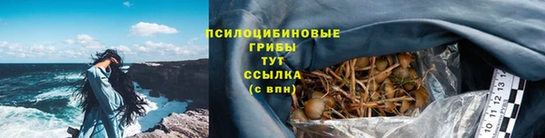a pvp Белокуриха