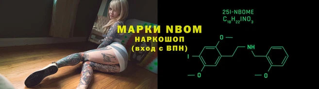 a pvp Белокуриха