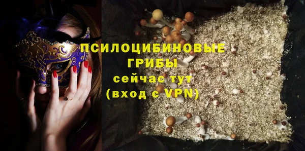 сатива Белоозёрский