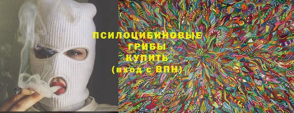 крисы Россошь