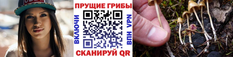 Псилоцибиновые грибы MAGIC MUSHROOMS  Невель 
