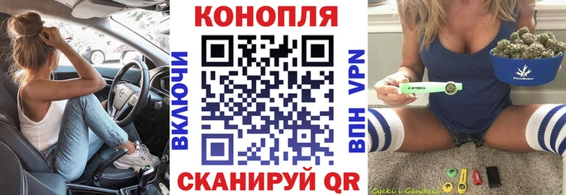 Канабис OG Kush  Невель 
